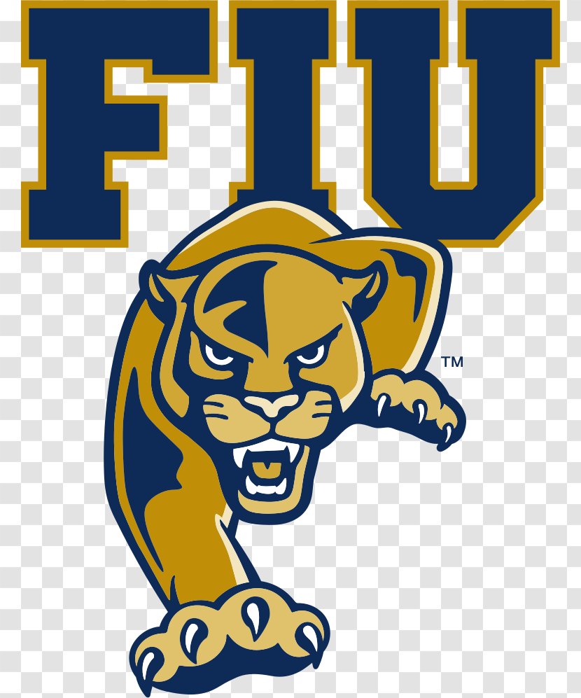 American Football Background - Miami - Wall Sticker Fiu Panthers Transparent PNG