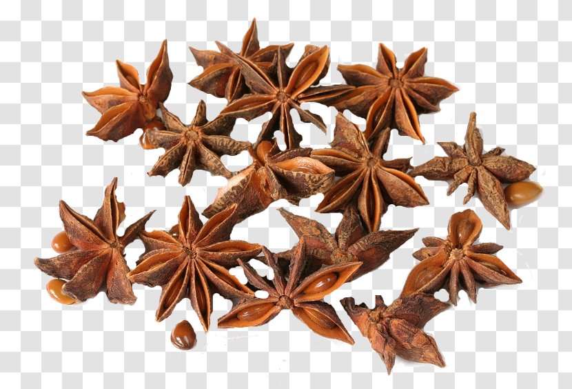 Star Anise Spice Tarragon Oil - Greas Transparent PNG