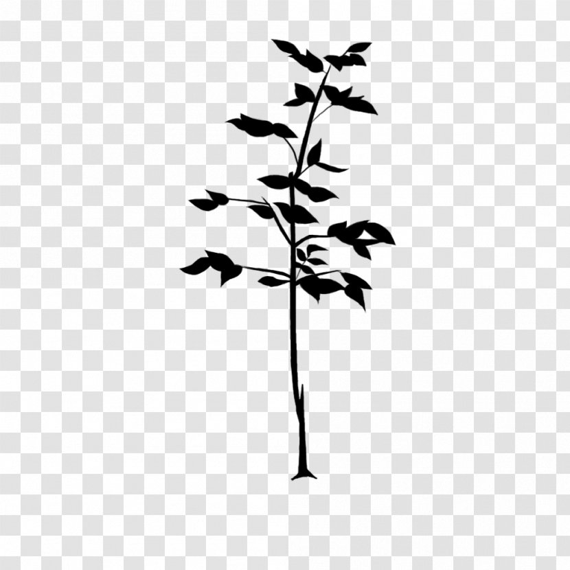 Twig Plant Stem Flower Leaf Font - Silhouette Transparent PNG