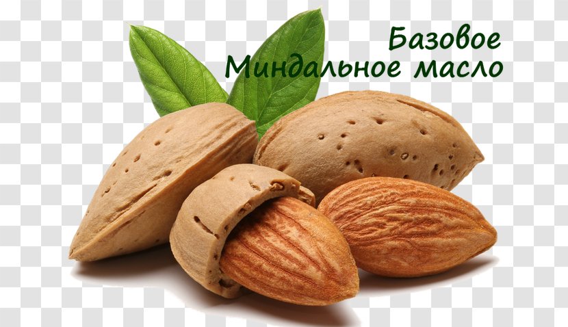 Almond Oil Food Dried Fruit - Noix Transparent PNG