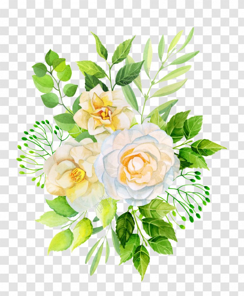 Garden Roses Design Flower Illustration - Rose Order Transparent PNG