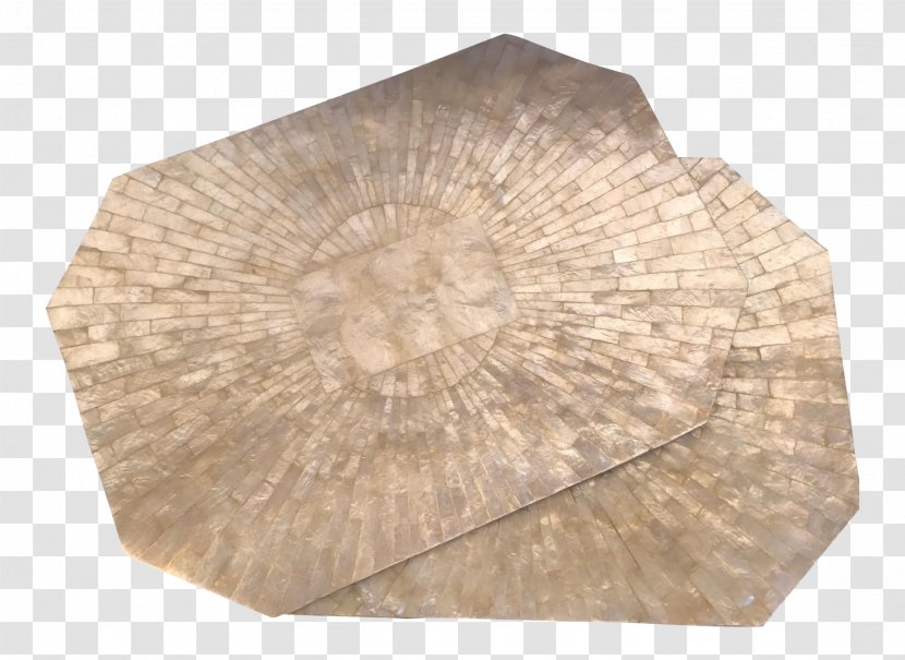 Wood /m/083vt - Seashell Transparent PNG