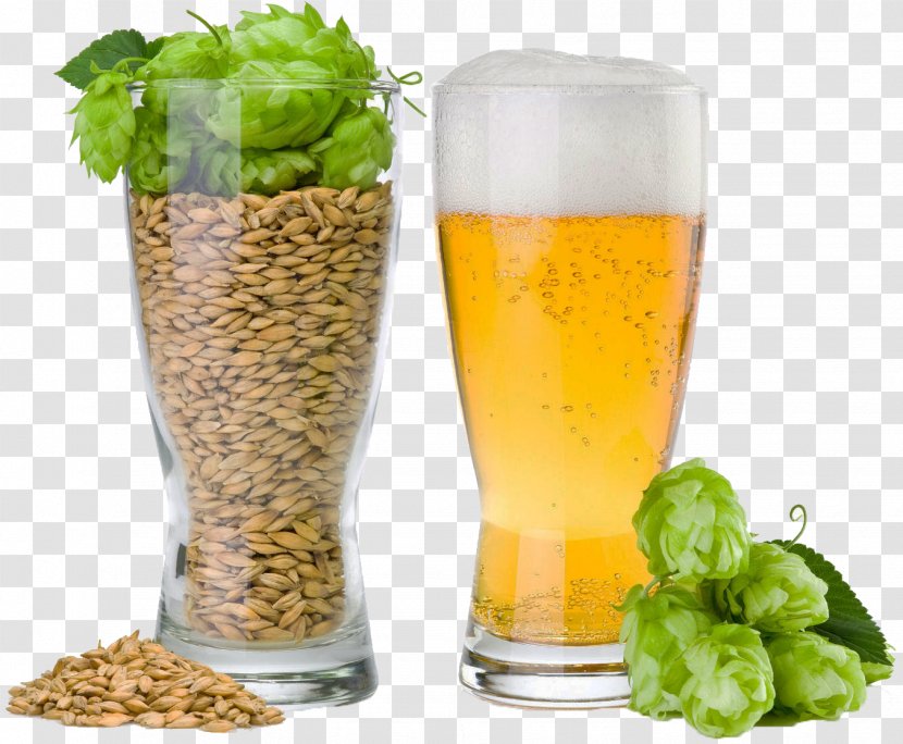 Beer Brewing Grains & Malts Common Hop Brewery Transparent PNG