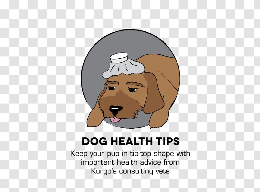 Puppy Dog Training Kurgo Health - Tips Transparent PNG