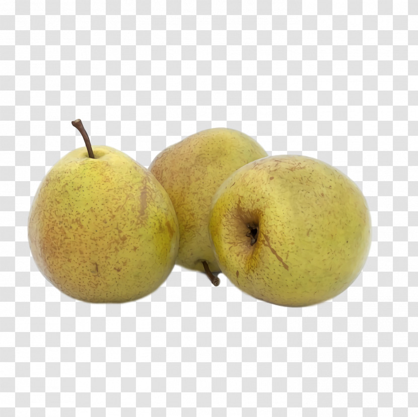 Asian Pear Apple Fahrenheit Pear Transparent PNG