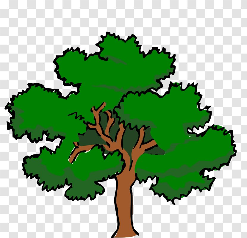 White Oak Tree Swamp Spanish Clip Art - Woody Plant Transparent PNG