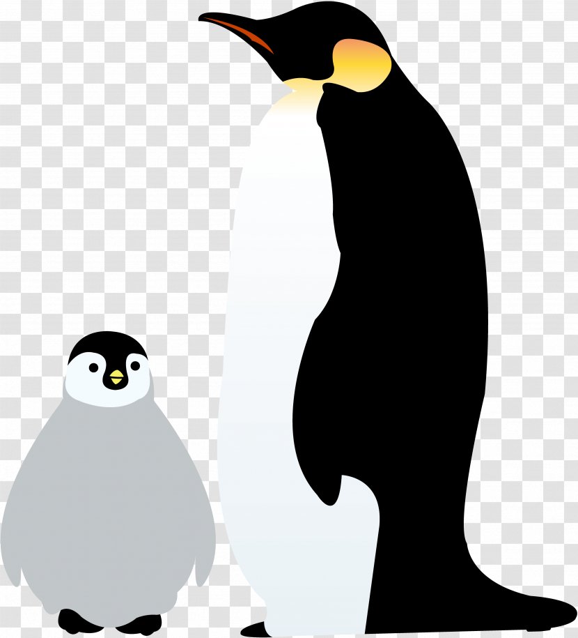 Emperor Penguin Antarctica Illustration Image - Vertebrate Transparent PNG