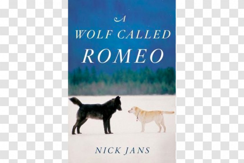 A Wolf Called Romeo Labrador Retriever Canidae Black - Wolfdog - Book Transparent PNG