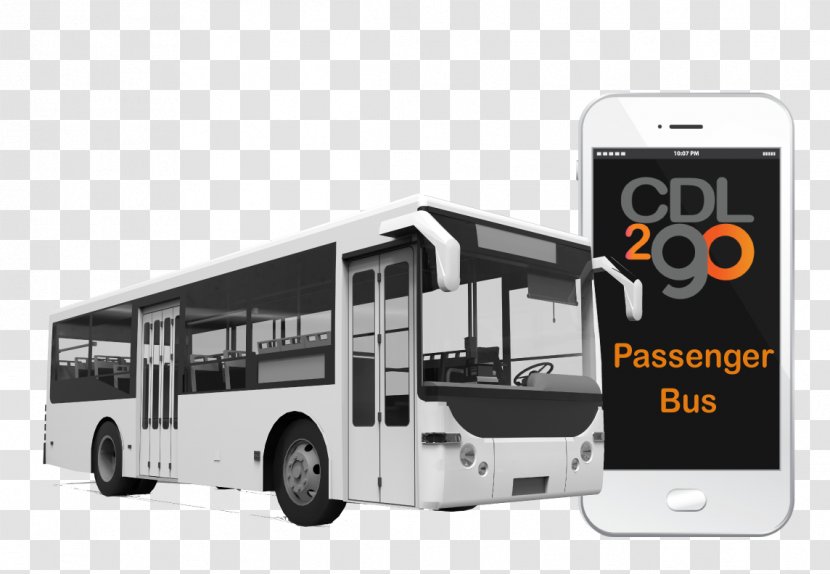 School Bus Commercial Driver's License Transit Transport - Interchange Transparent PNG