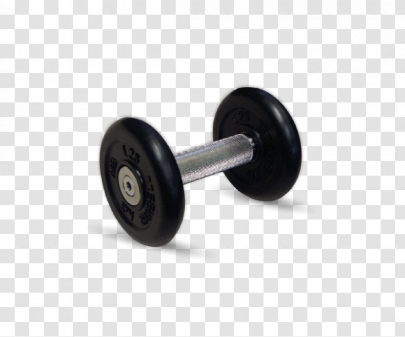 Dumbbell Barbell Beats Electronics Sound Exercise Equipment - Hardware Transparent PNG