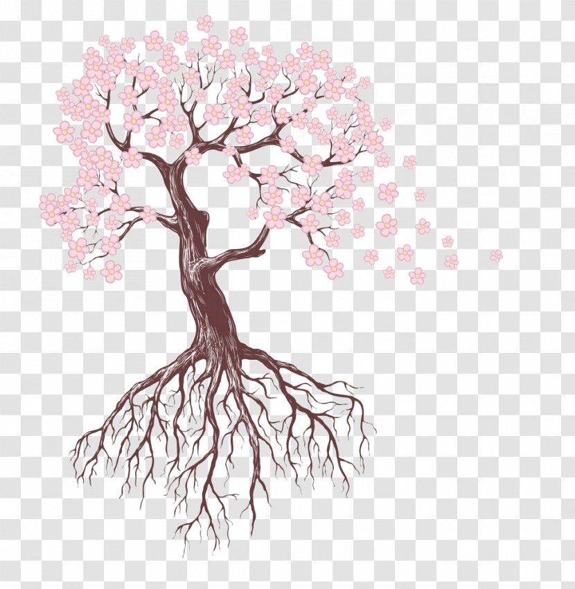 Drawing Tree Root Sketch - Cherry Blossom - Pink Blossoms Transparent PNG