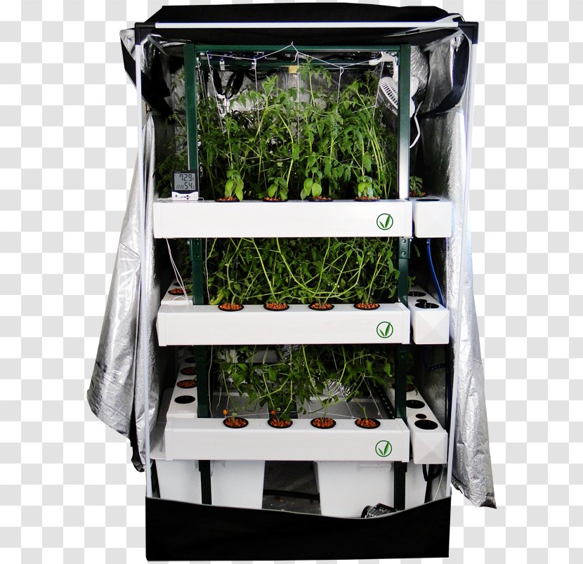 Grow Box Growroom Gorilla Tent LITE LINE 4x4 Hydroponics - Gardening - Square Design Transparent PNG