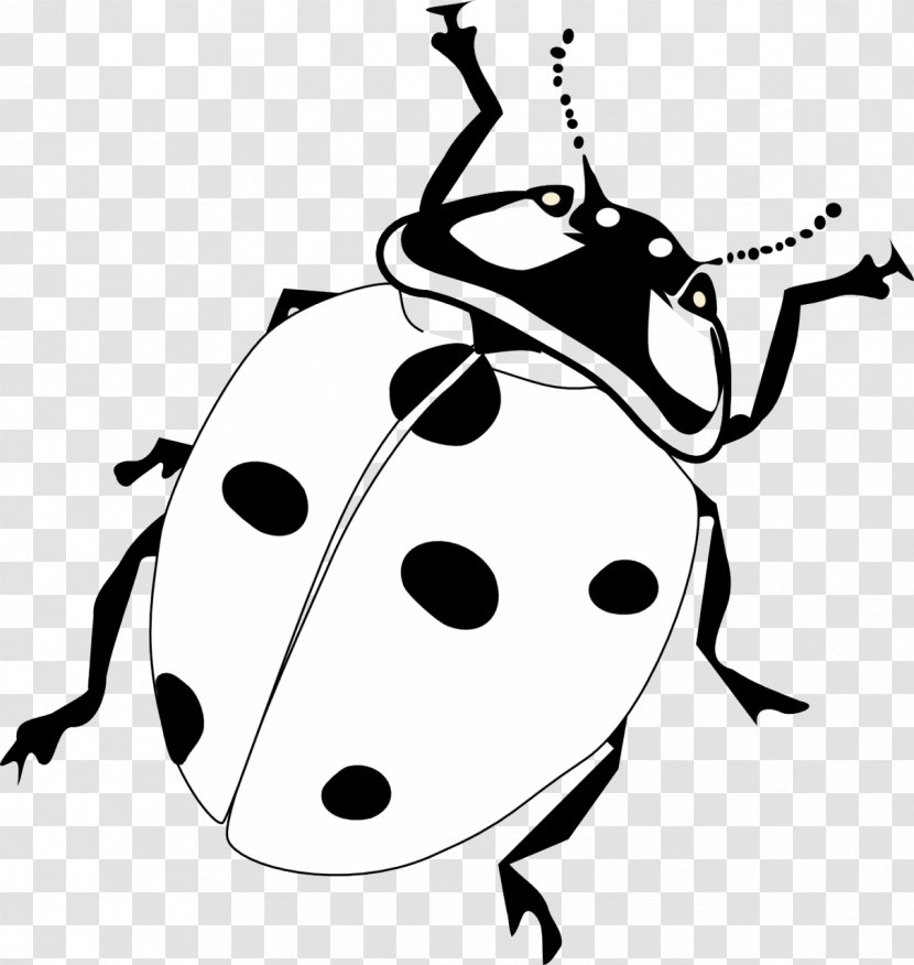 Drawing Line Art Black And White Clip - Grouchy Ladybug Transparent PNG