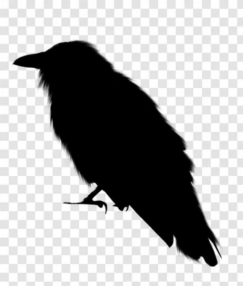 American Crow New Caledonian Rook Common Raven - Crowlike Bird Transparent PNG
