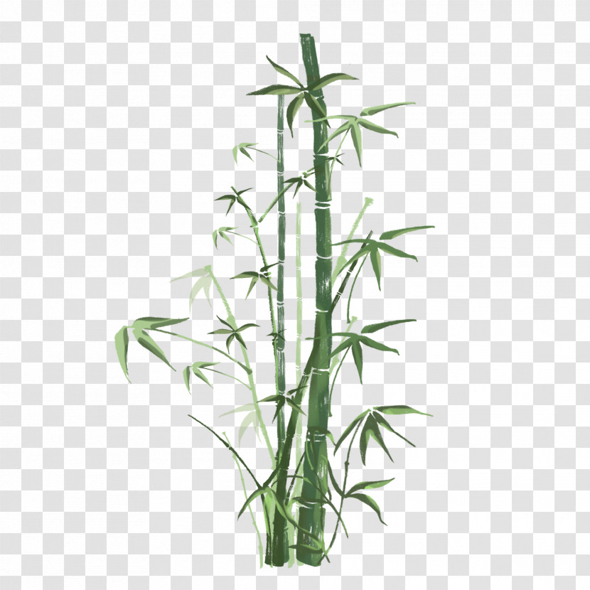 Bamboo Flower Plant Terrestrial Plant Plant Stem Transparent PNG