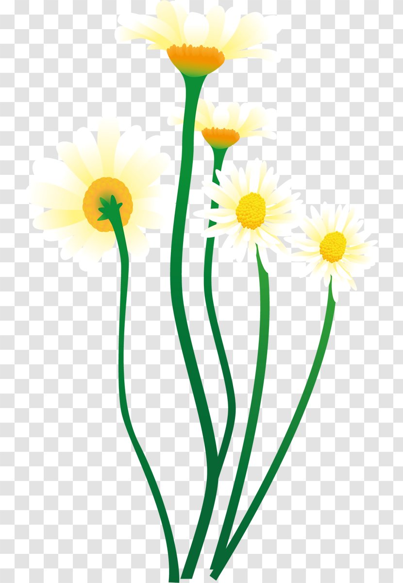 Cut Flowers Plant Stem Flowerpot Line Clip Art - Daisy Transparent PNG
