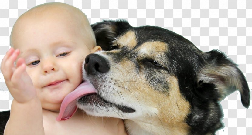 Dog Stock Photography Infant Royalty-free - Child - Baby Transparent PNG