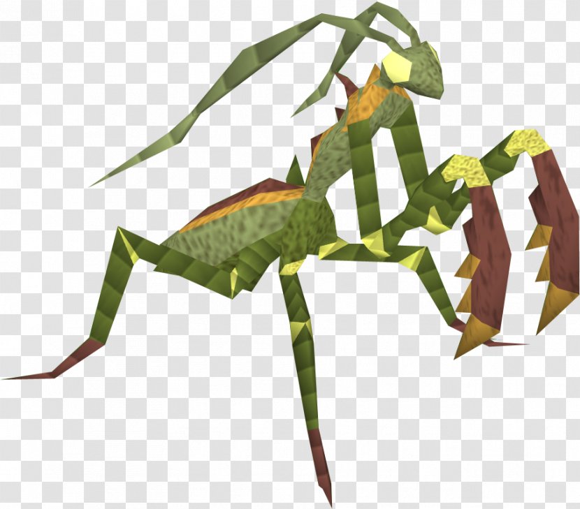 Insect European Mantis Animal - Art - Pray Transparent PNG