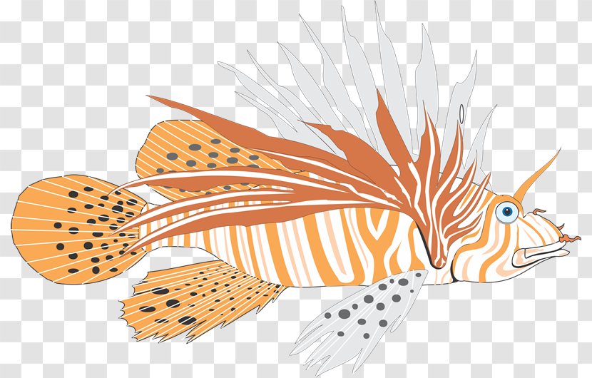 Fish Marine Biology Name Clip Art Illustration - Organism Transparent PNG