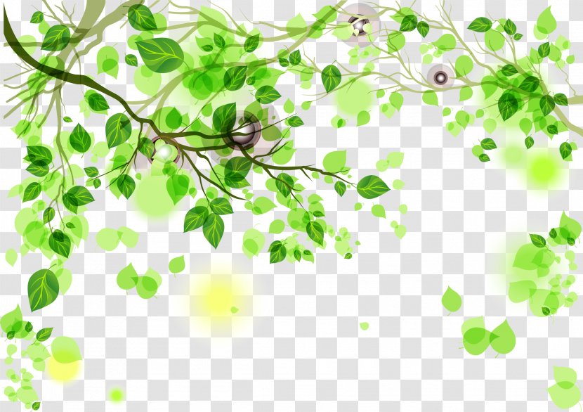 Green - Background Transparent PNG