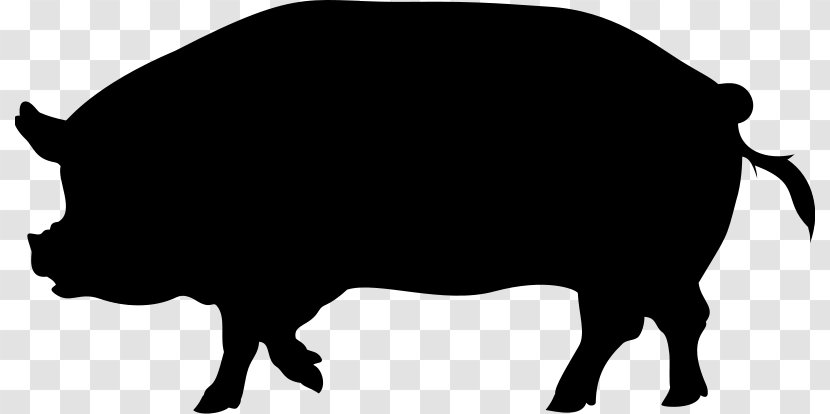 Domestic Pig Clip Art Vector Graphics - Boar Transparent PNG