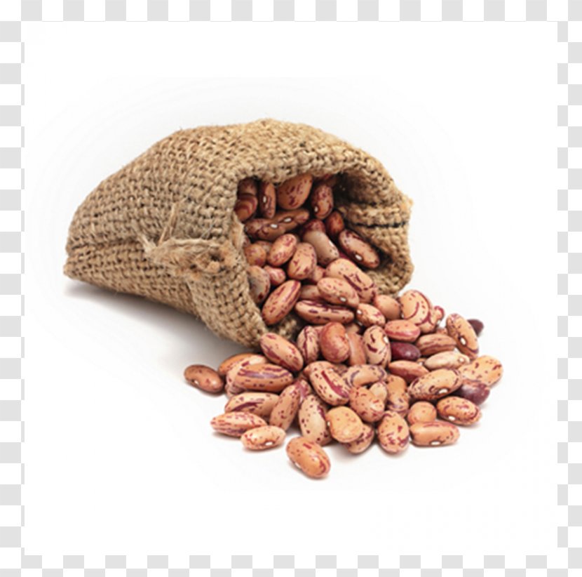 Bean Nut Food Legume Pea - Common Transparent PNG