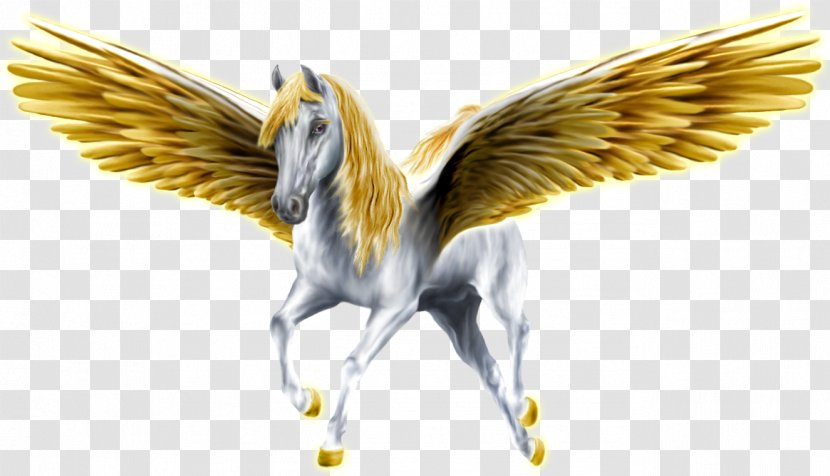 Pegasus Medusa Horse Perseus Greek Mythology - Beak Transparent PNG