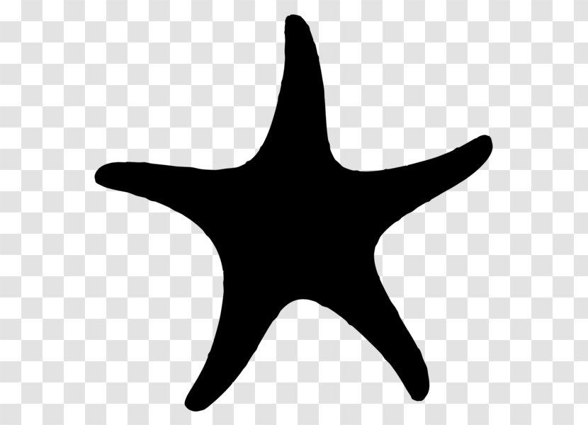 Starfish Clip Art Silhouette - Symbol - Drawing Transparent PNG