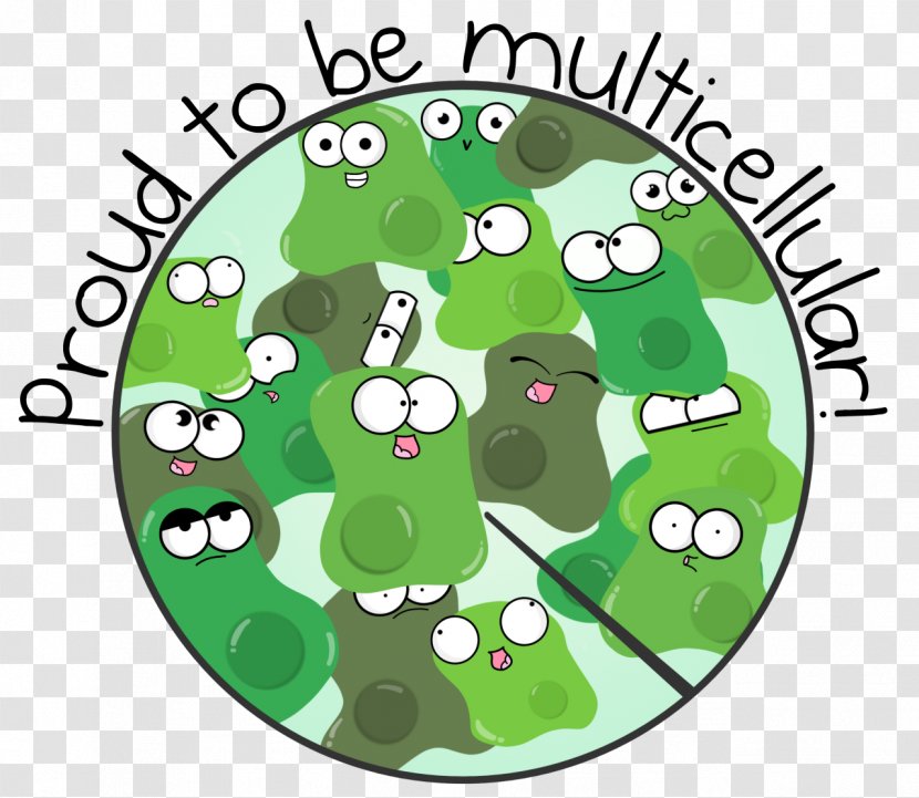 Cartoon Amoeba Multicellular Organism Drawing Transparent PNG