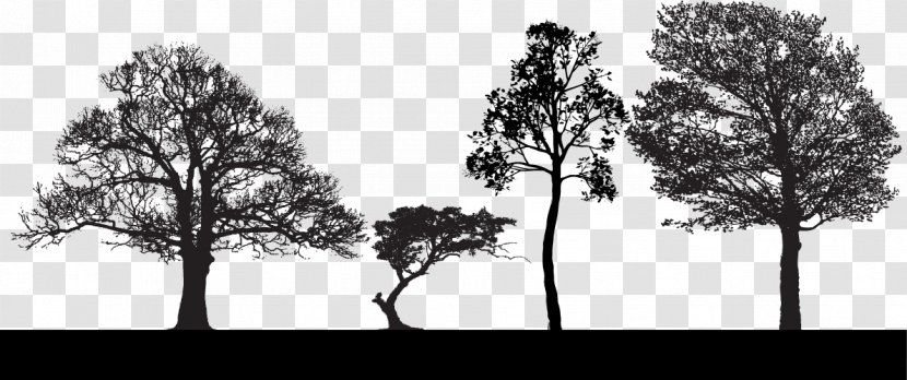 Tree Euclidean Vector Clip Art - Stock Photography - Trees Silhouette Transparent PNG