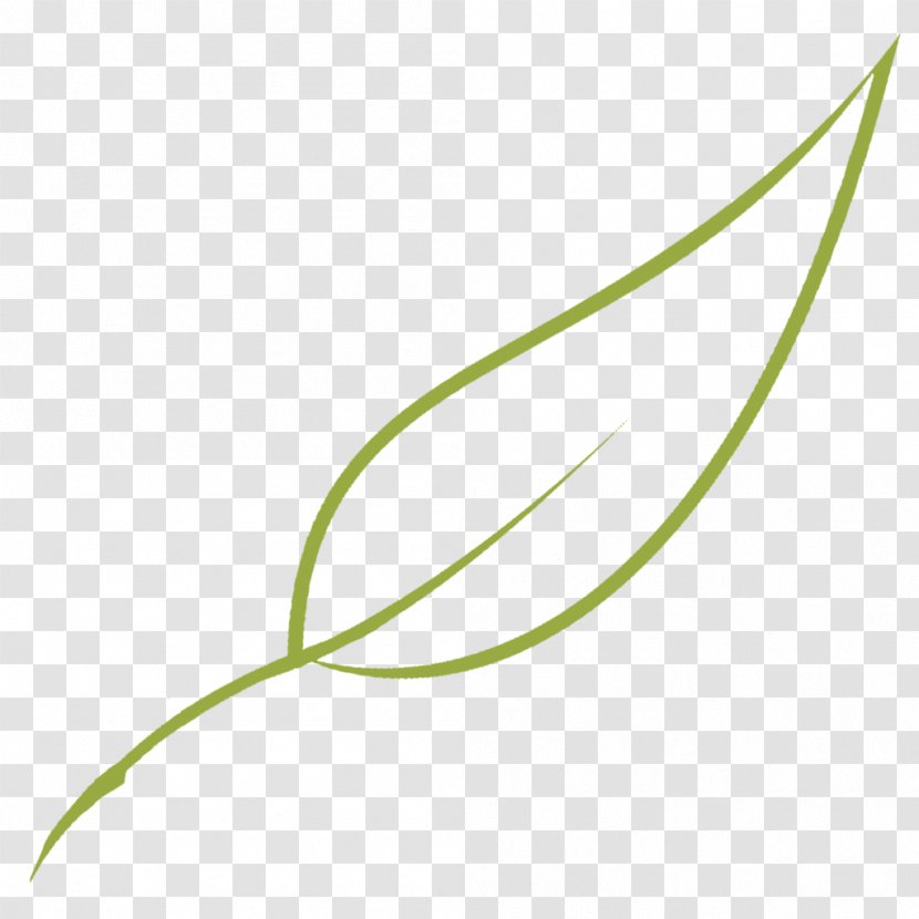 Leaf Green Grasses Graphics Plant Stem Transparent PNG