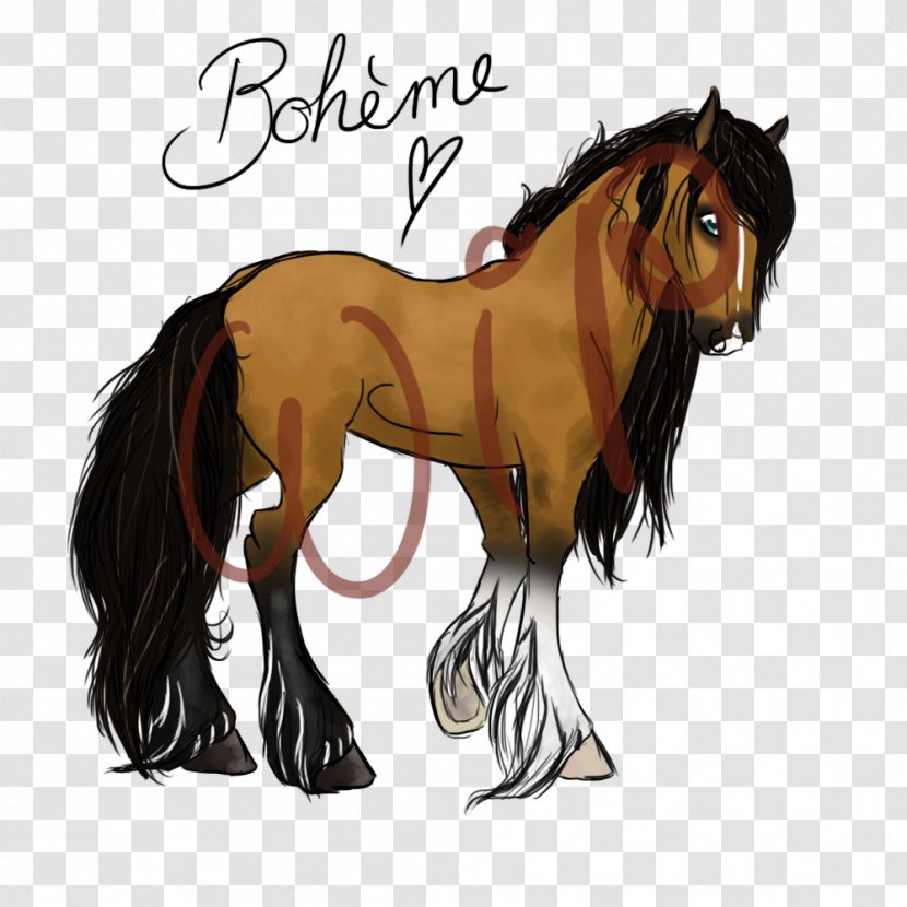 Mane Mustang Stallion Pony Foal - Horse Tack Transparent PNG