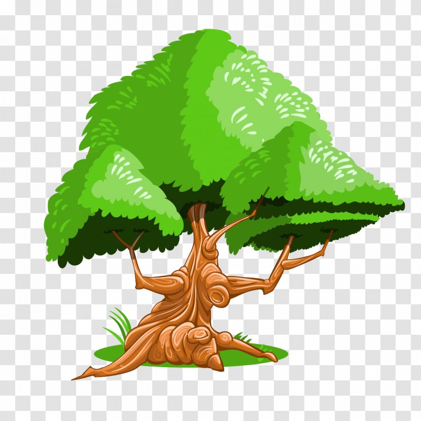 Tree Green Illustration - Understory - Model Transparent PNG