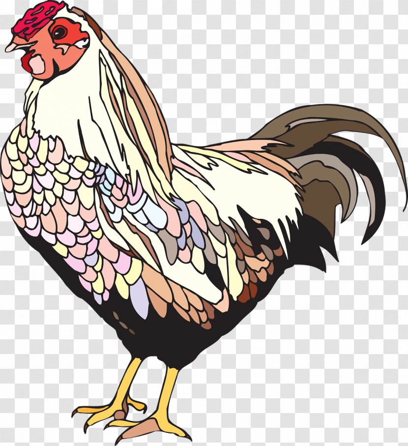 Chicken Buffalo Wing Poultry Farming - Art Transparent PNG