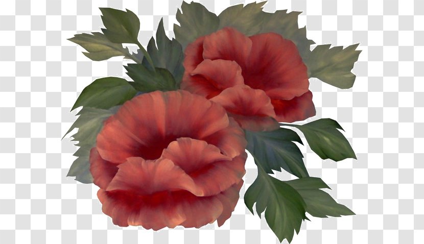 Tiff - Annual Plant - Moutan Peony Transparent PNG