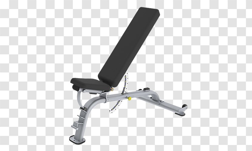Bench Press Exercise Equipment Physical Fitness - Weight Training - Lifting Barbell Beauty Transparent PNG