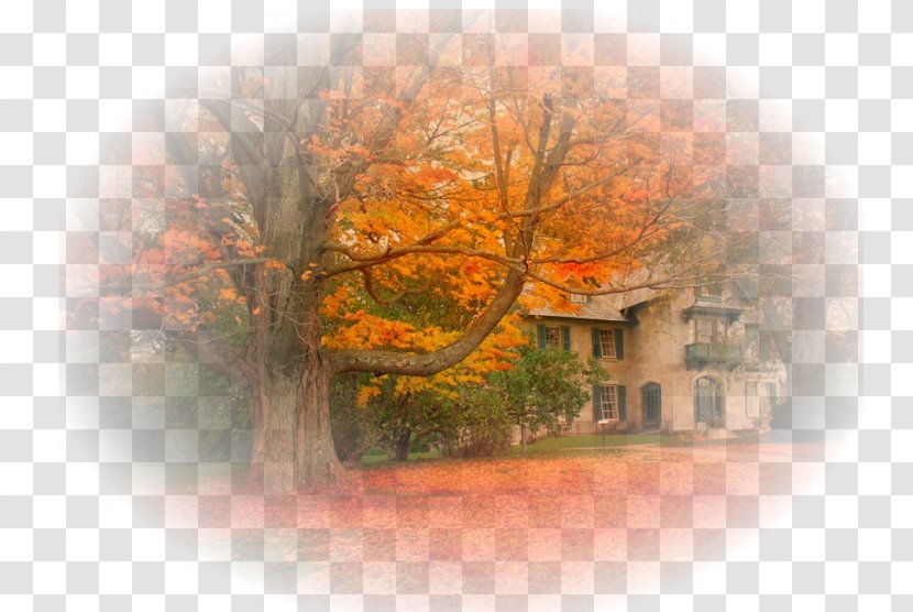 Norman Rockwell Museum Stockbridge Quebec Photography Autumn - Paysage Transparent PNG