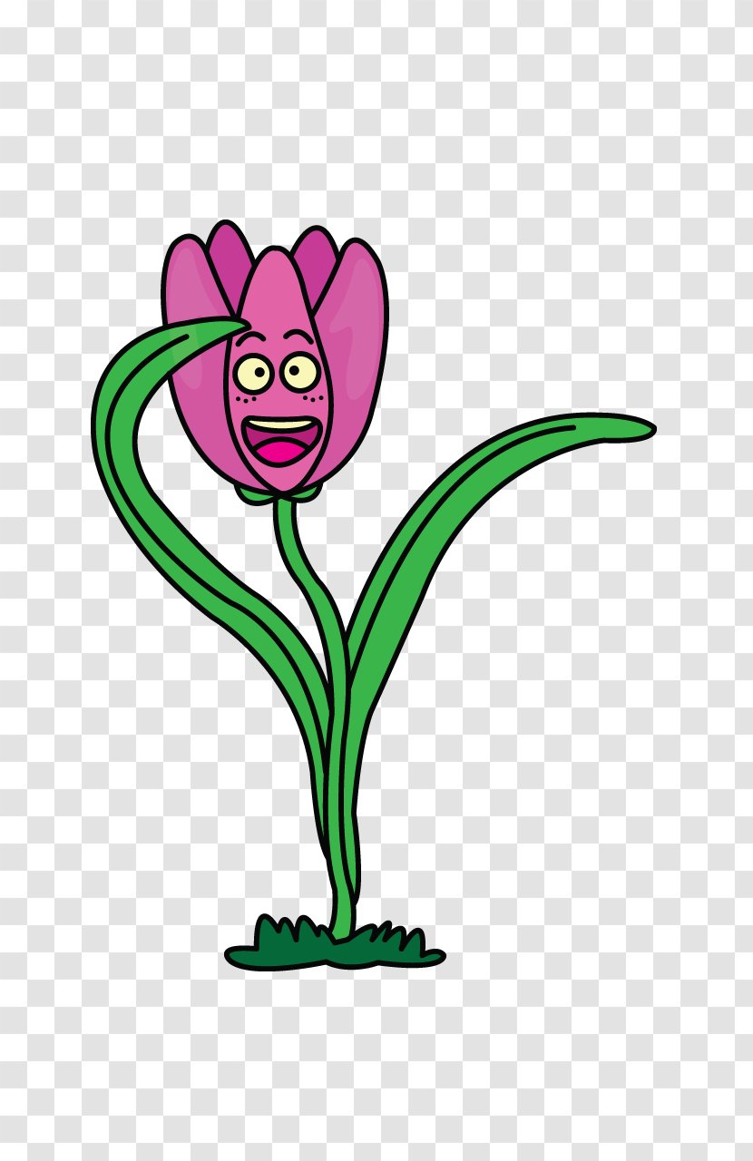 Drawing Cartoon Flower Humour Clip Art - Frame - Tulips Transparent PNG