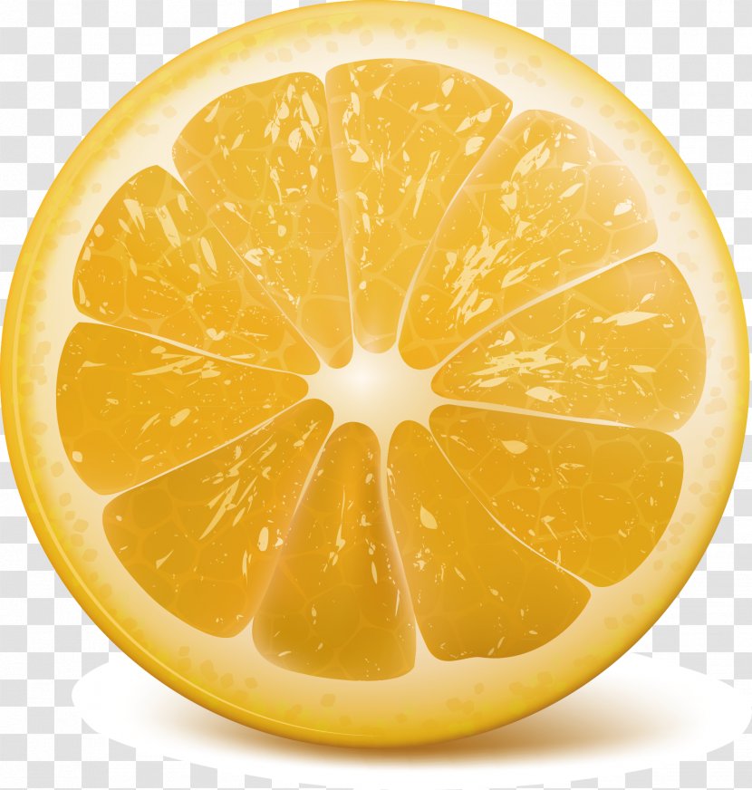 Lemon Orange Clip Art - Slice Decoration Transparent PNG