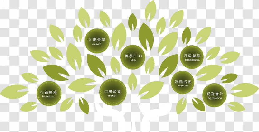 Organization The Olive Tree Branch Fruit - Organise Transparent PNG
