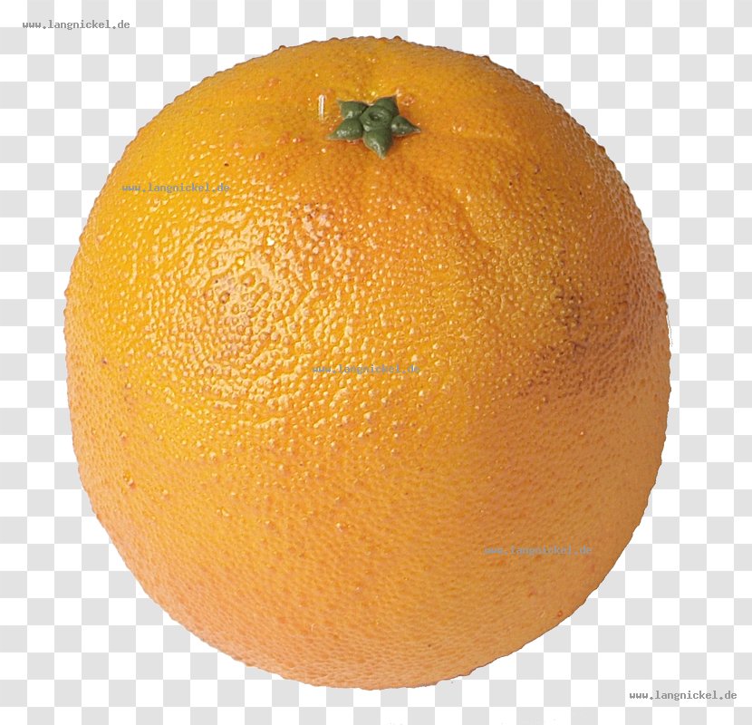 Clementine Mandarin Orange Tangerine Rangpur - Bitter Transparent PNG