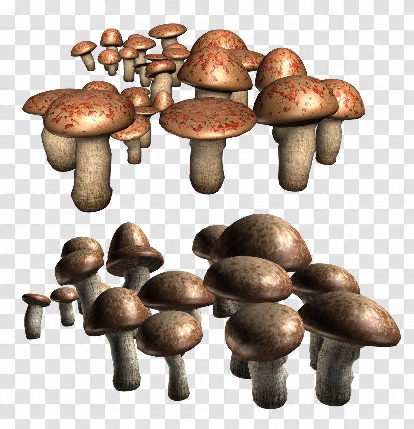 Edible Mushroom Shiitake Agaricus Clip Art - Chillicoriandermintgreen Transparent PNG