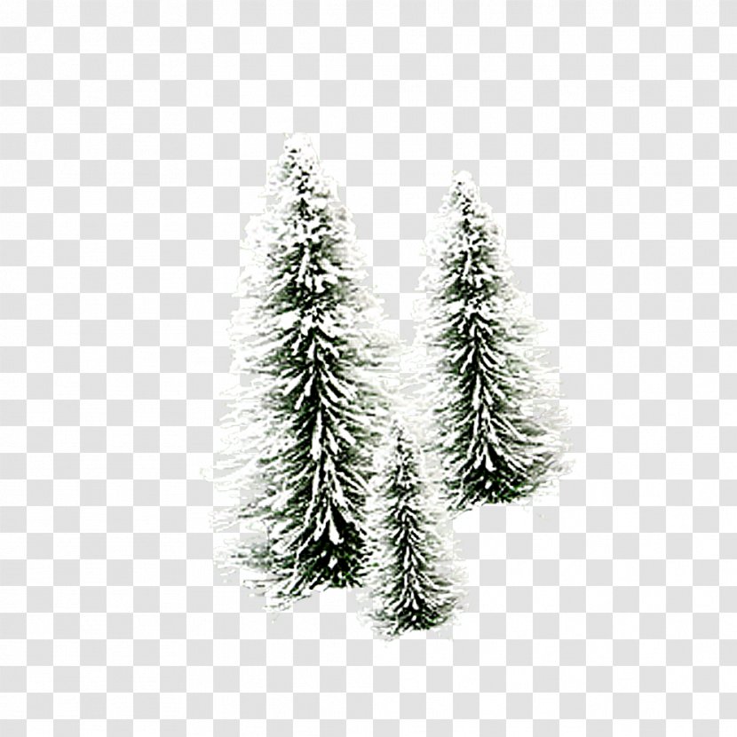 Christmas Tree Snow Decoration Wallpaper - Black And White - Snowy Picture Material Transparent PNG
