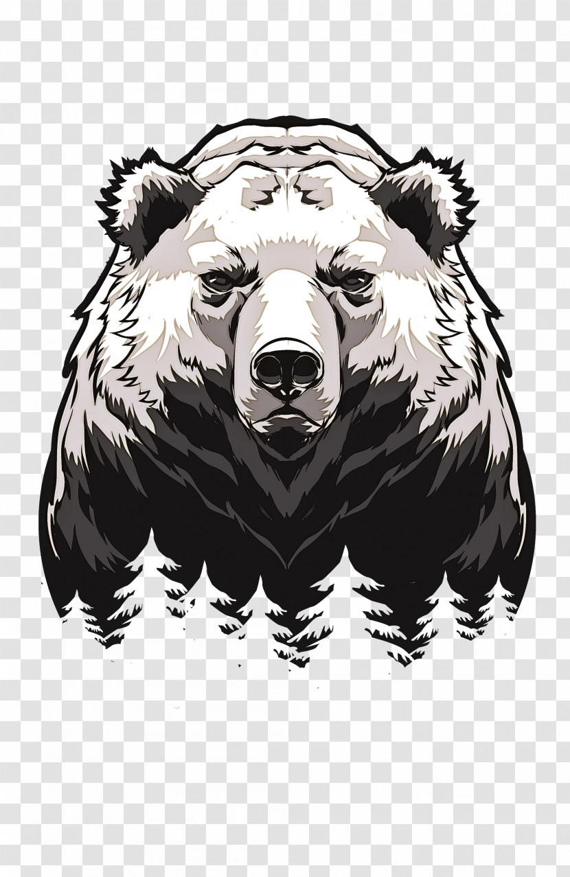 Grizzly Bear Bear Brown Bear Head Sloth Bear Transparent PNG