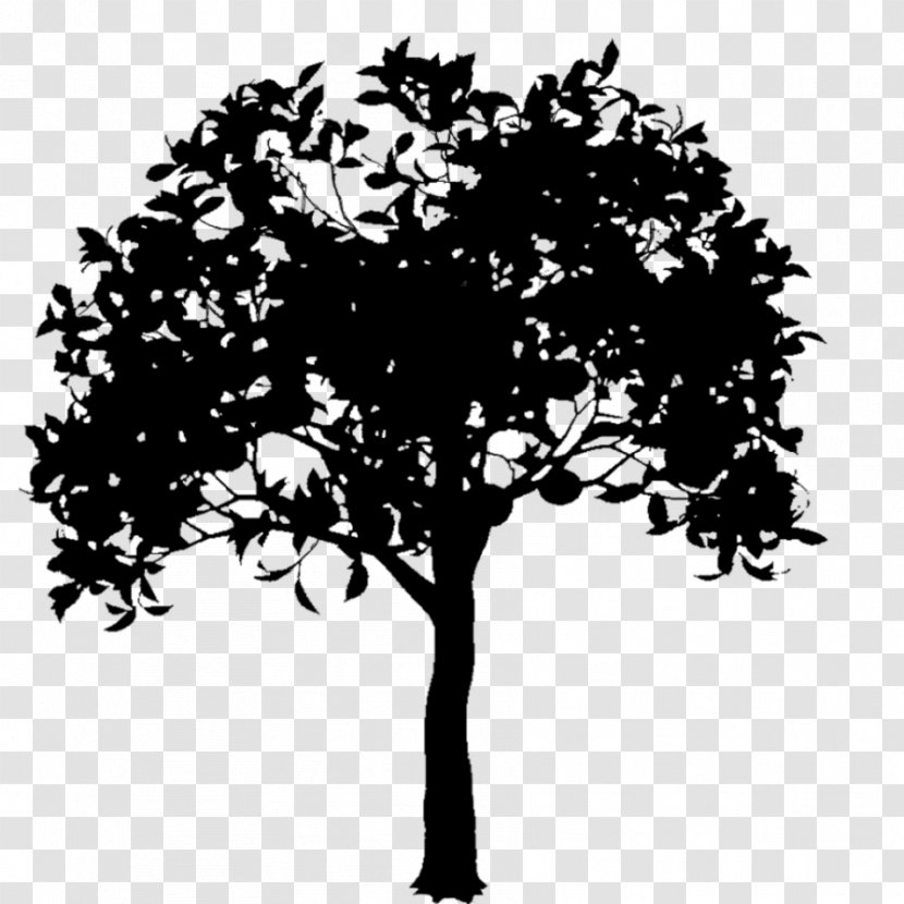 Branch Silhouette Illustration Vector Graphics Tree - Depositphotos - Plane Transparent PNG