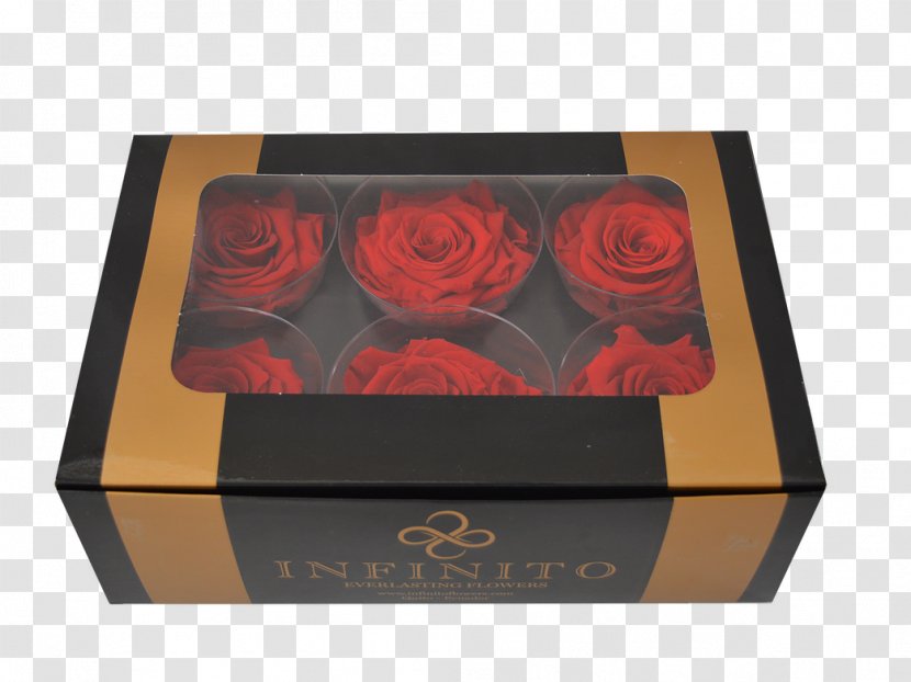Box Flower Preservation Rose Floral Design - Gift Transparent PNG