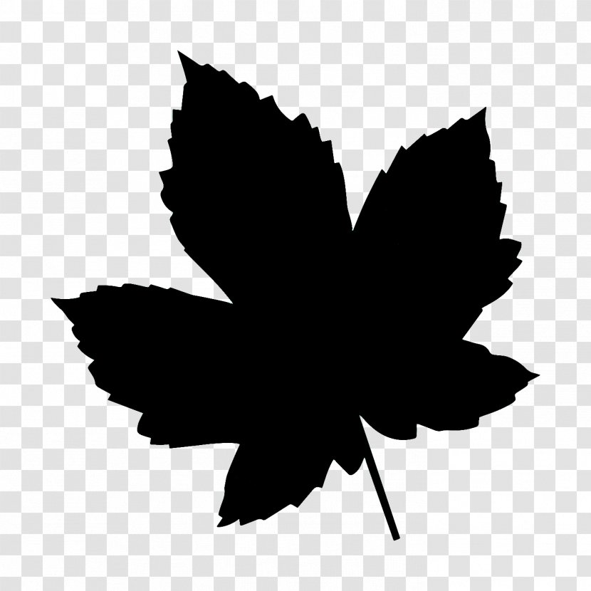 Maple Leaf - Plant - Flowering Logo Transparent PNG
