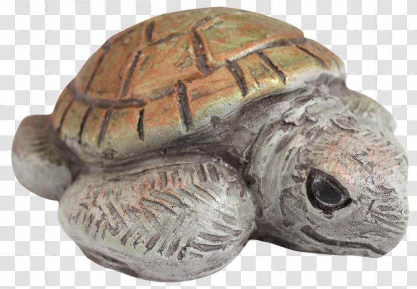 Terrapene Tortoise Turtle Isabel Bloom Animal - Snapping Turtles Transparent PNG