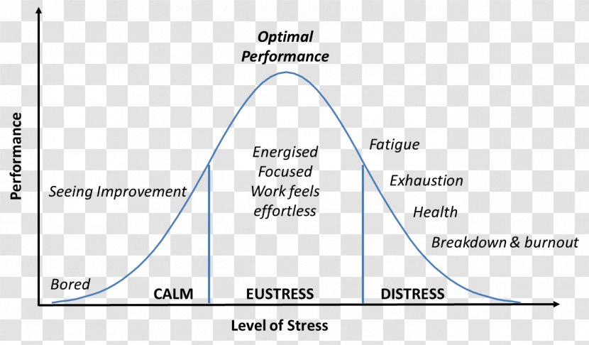 Yerkes–Dodson Law Psychological Stress Anxiety Cortisol - Health Fitness And Wellness Transparent PNG