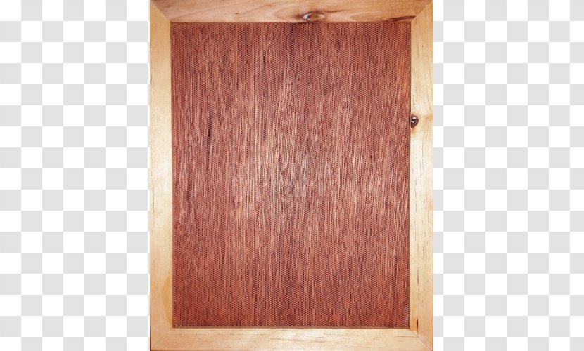 Hardwood Wood Stain Varnish Flooring Transparent PNG